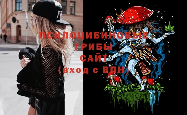спиды Алзамай