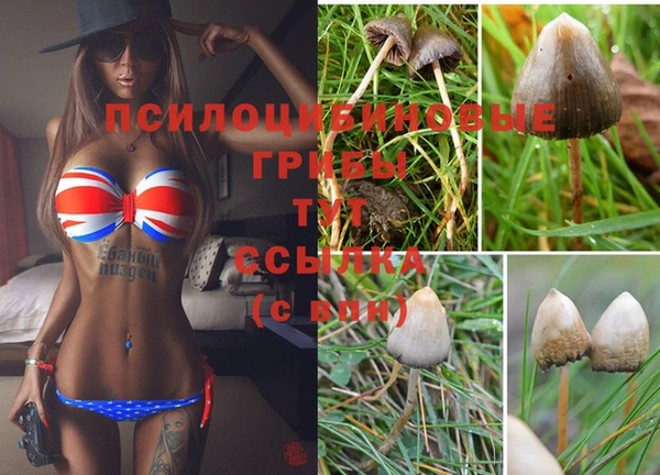 спайс Алексеевка
