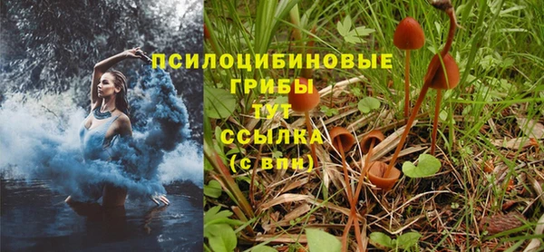 спайс Алексеевка