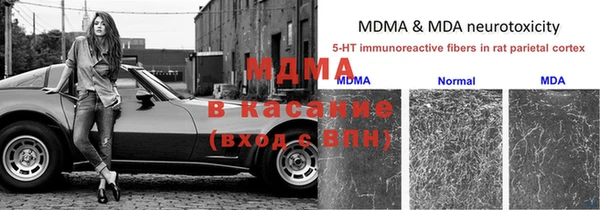 спиды Алзамай