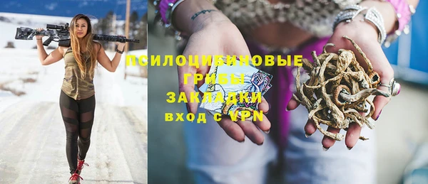 спайс Алексеевка