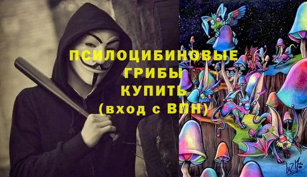 спайс Алексеевка