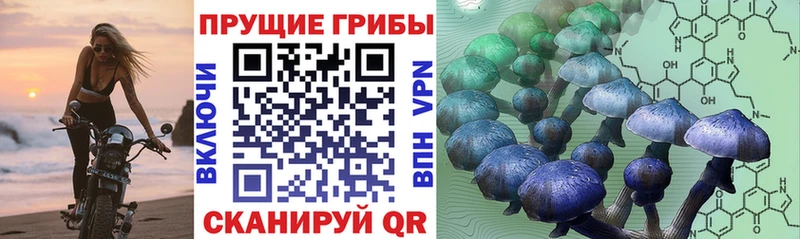 Псилоцибиновые грибы MAGIC MUSHROOMS  Ардон 
